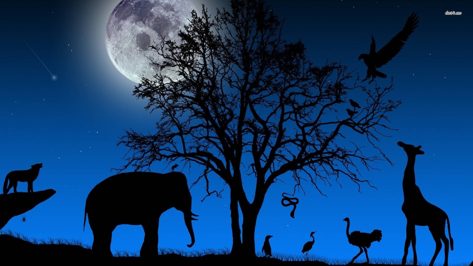 Animal silhouettes in the night wallpaper 1280x800 Animal silhouettes