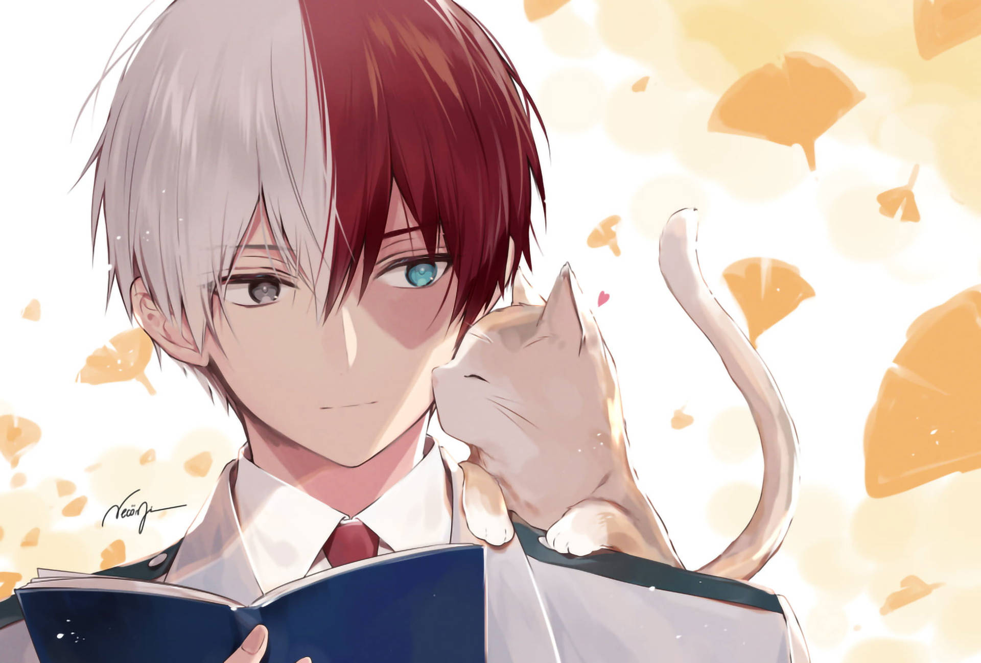 Cute Todoroki Wallpaper