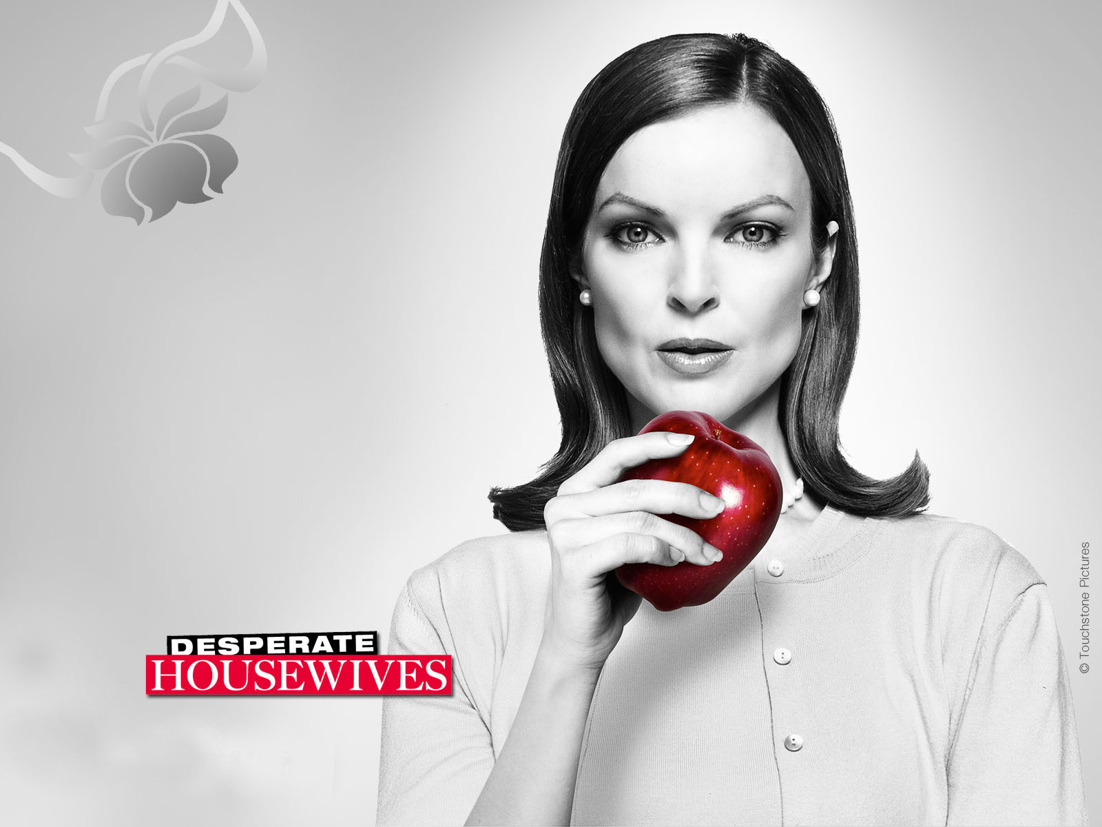 Bree Wallpaper Hodge