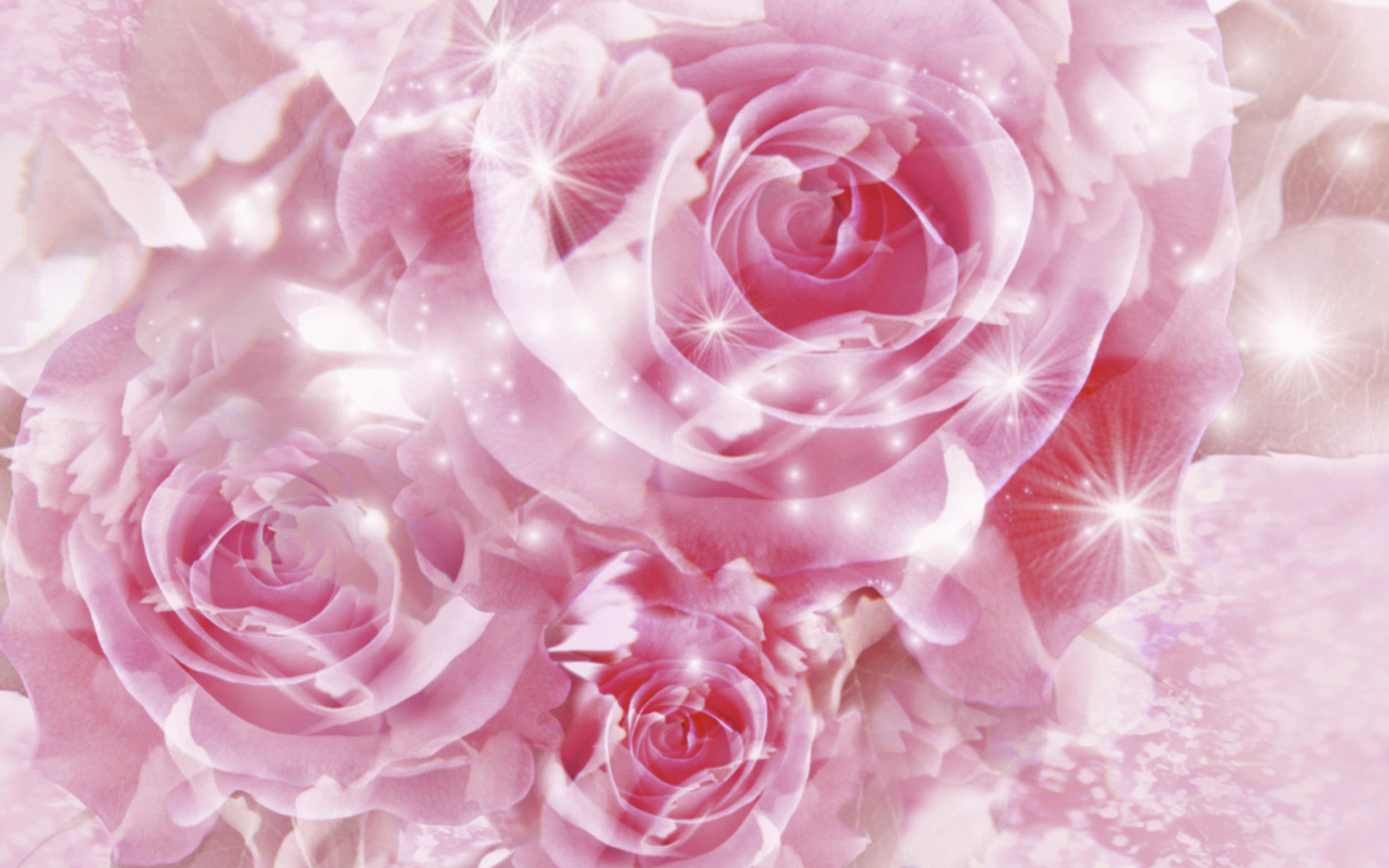 Pretty Pink Roses Roses Wallpaper