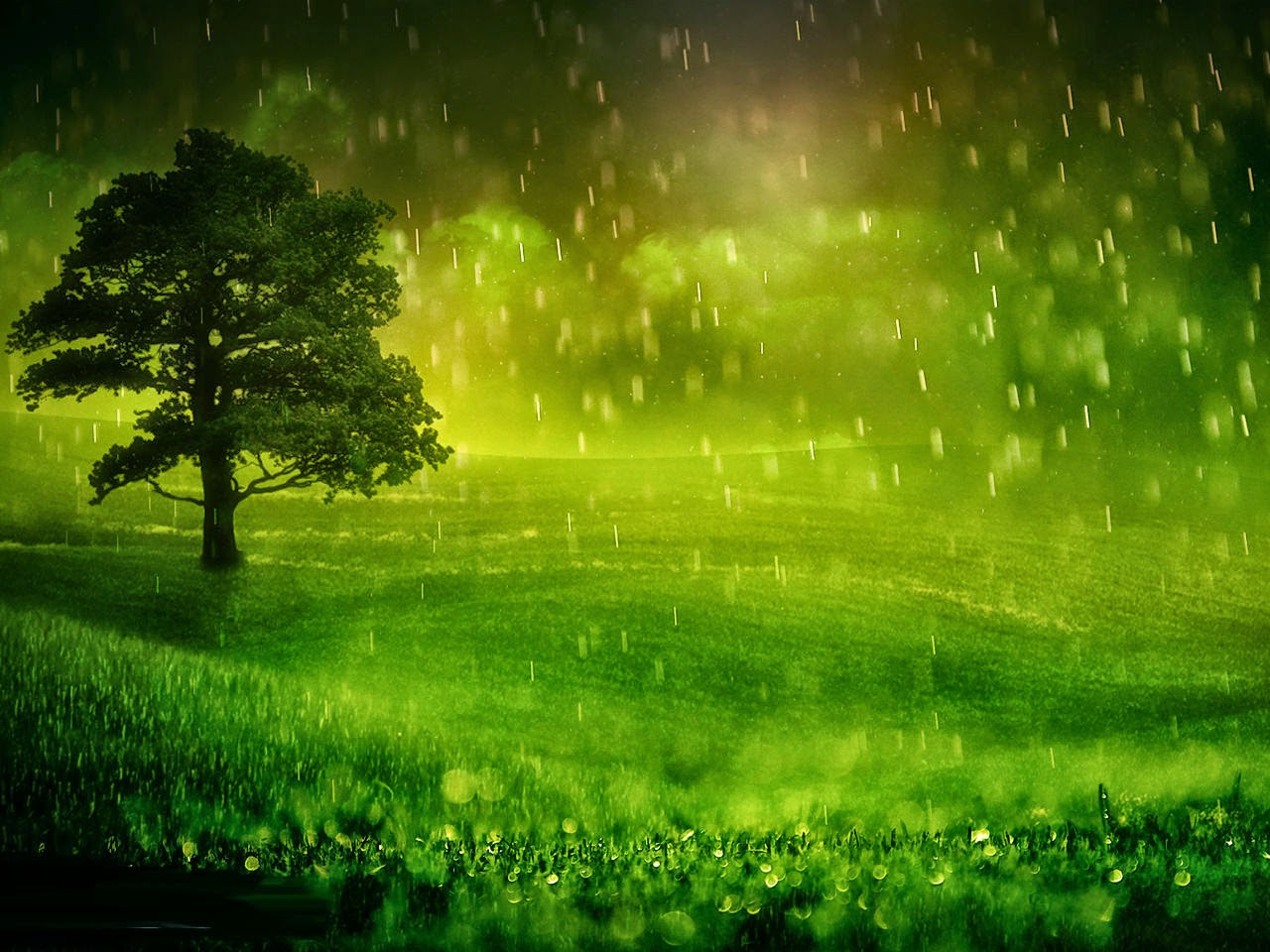 Wallpaper Pictures Image Background Rainy Season HD