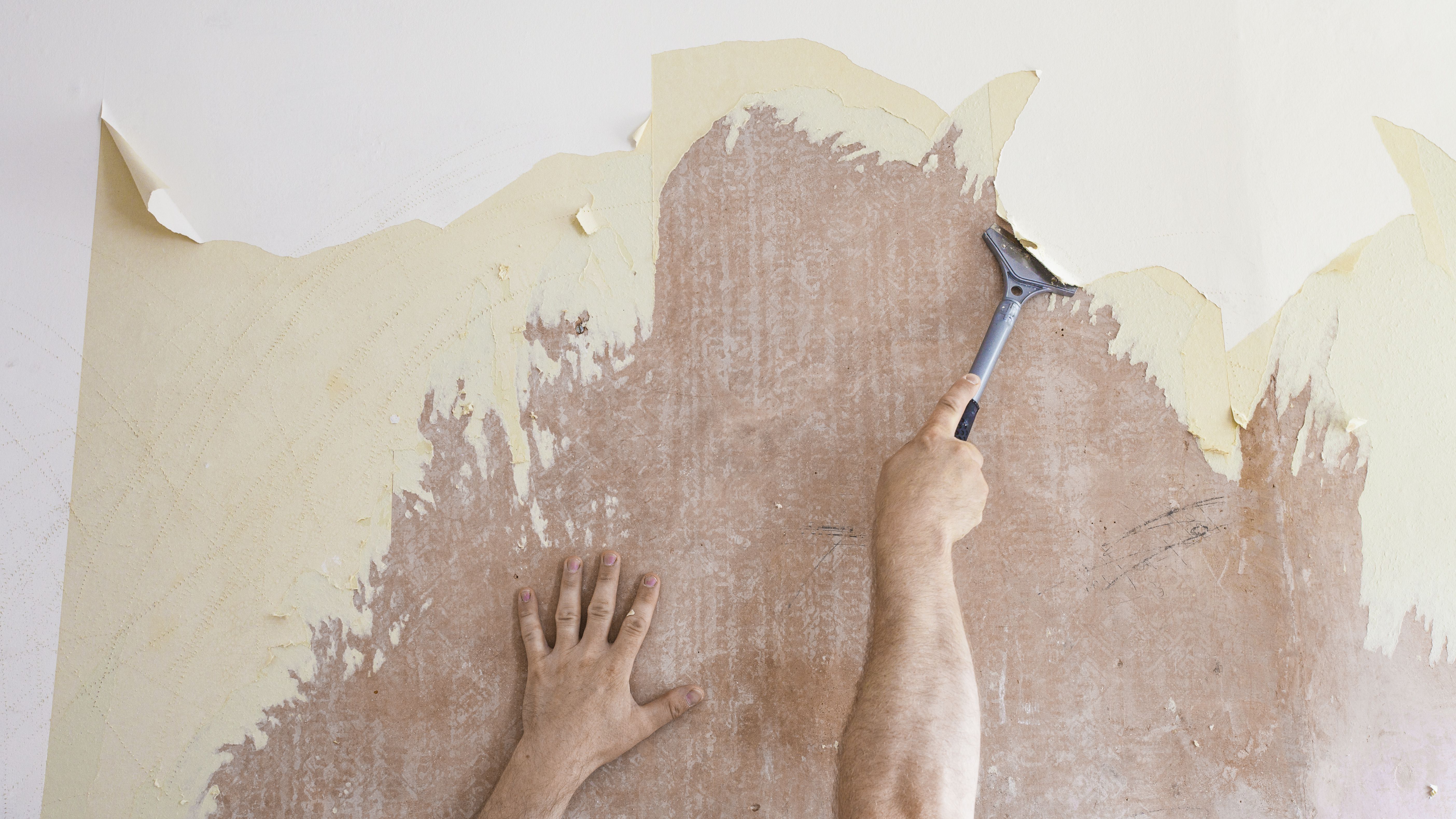 43 Diy Removing Old Wallpaper On Wallpapersafari