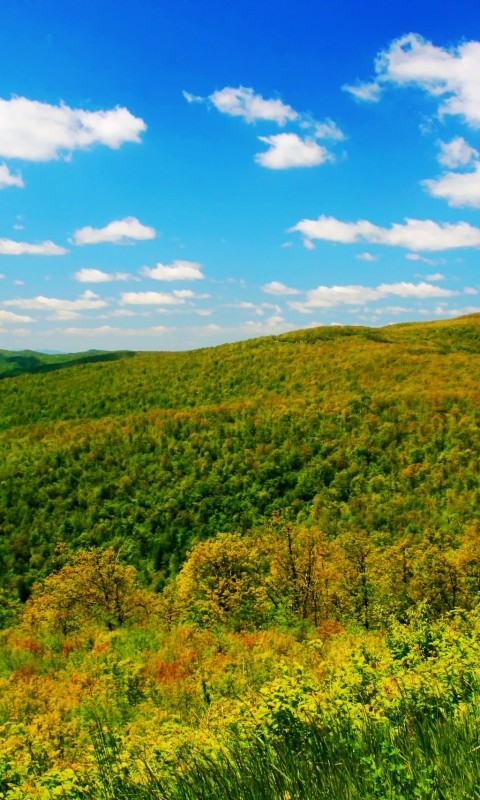 Blue Ridge Mountains HD Wallpaper Background N
