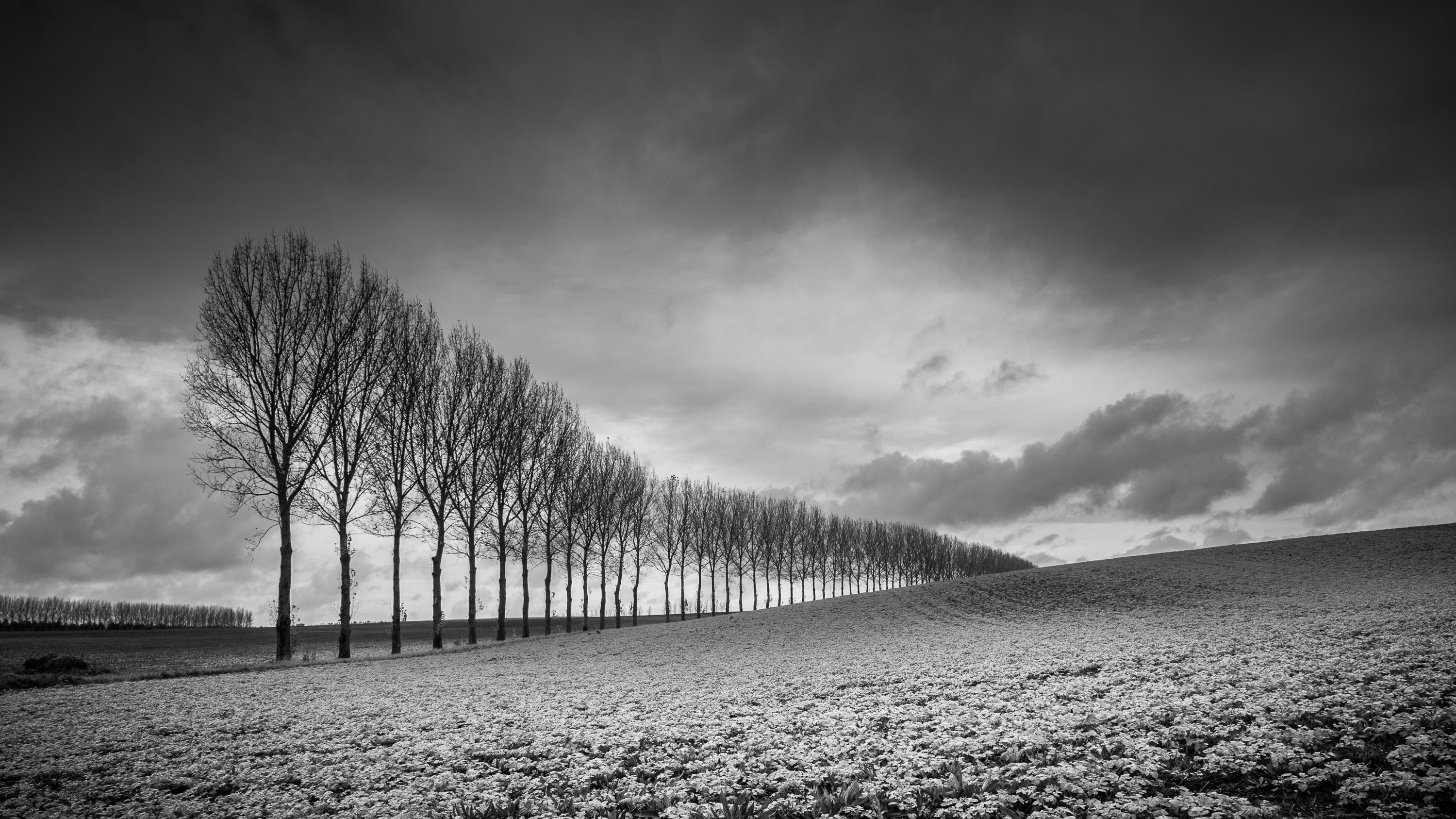 Master Black And White Photography Wallpaper