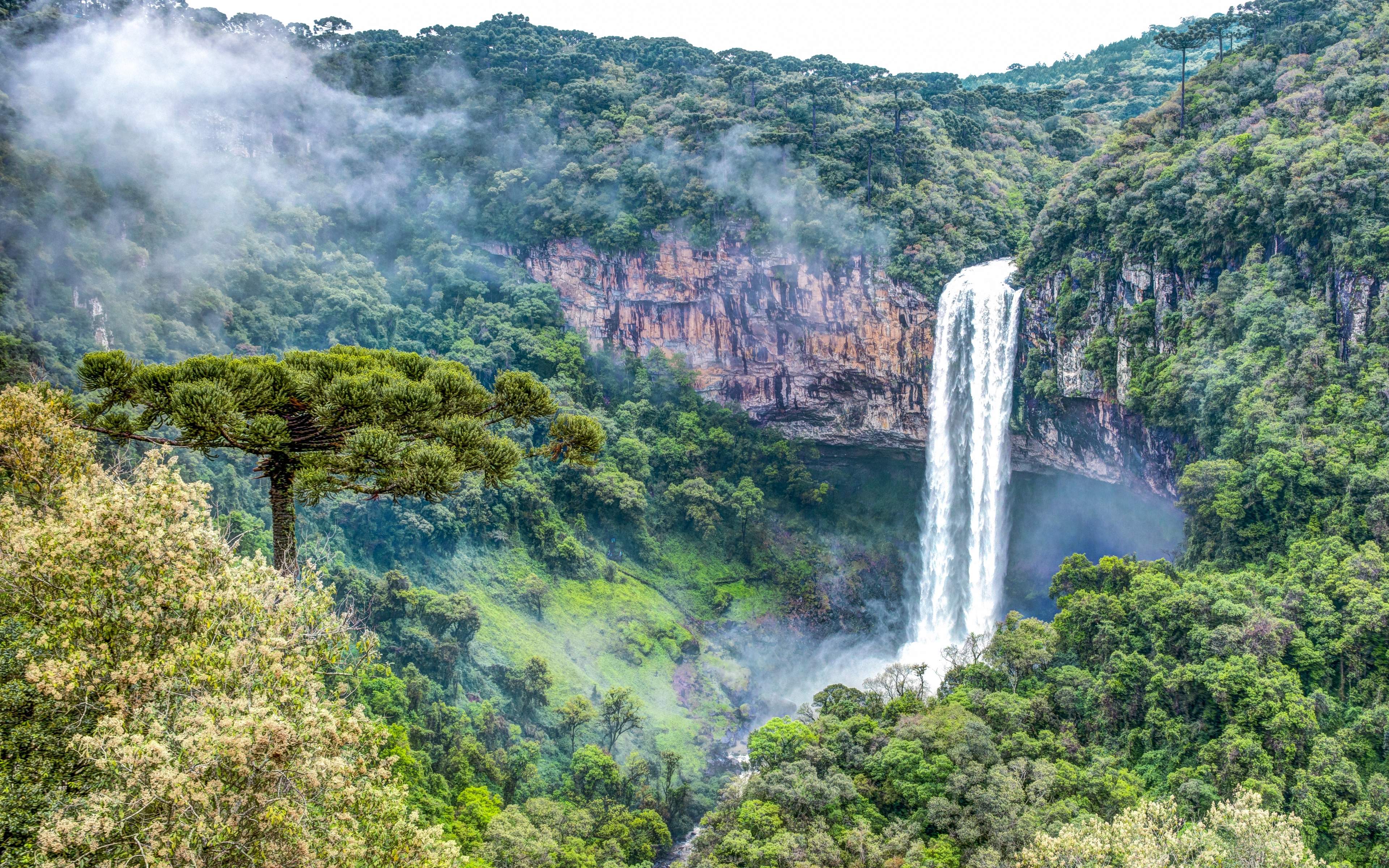 Rainforest Waterfall Wallpaper High Resolution At Landscape