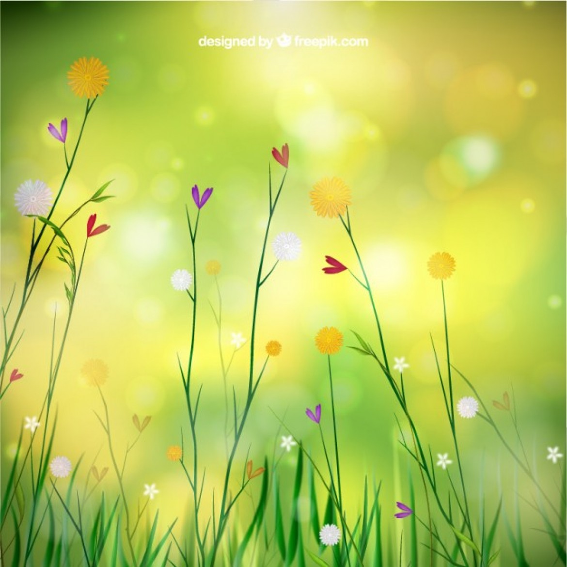 Vector Spring Background With Flowers My