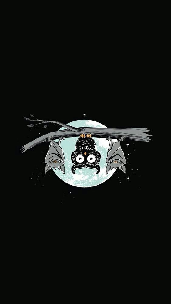 Confused Owl Or Maybe Halloween Poppins iPhone Wallpaper