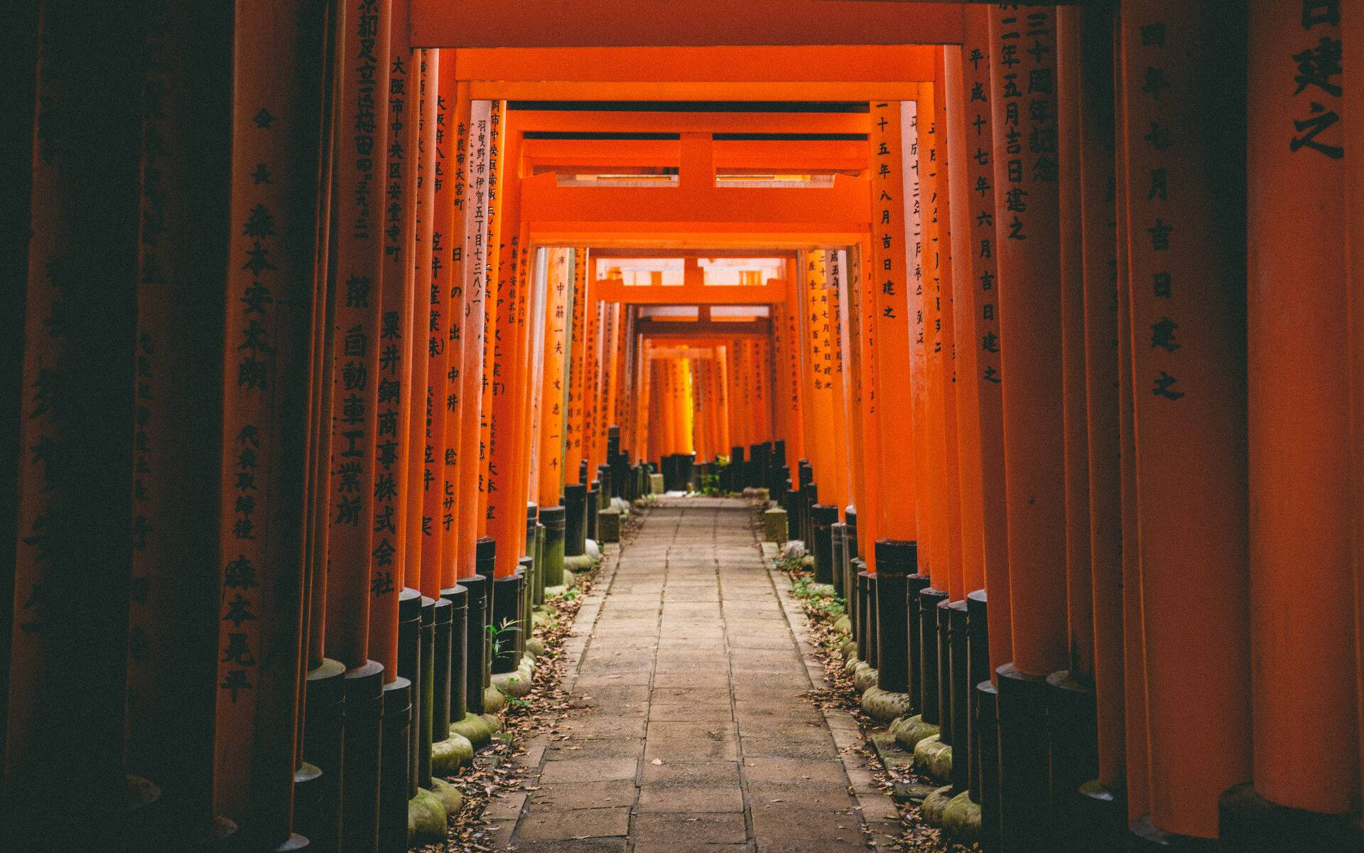 Top Kyoto Wallpaper Full HD 4k To Use