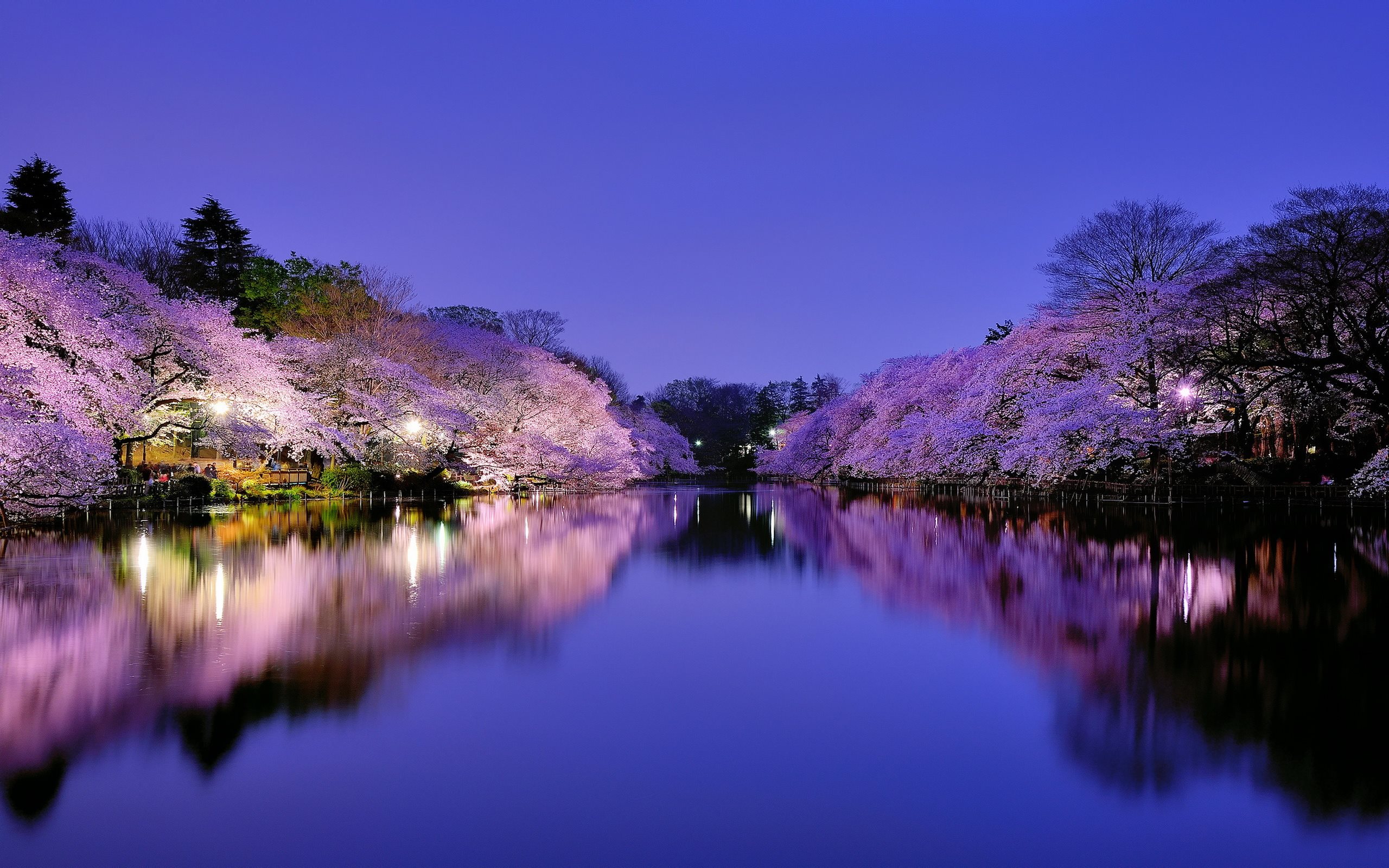 Japanese Wallpapers  Top 35 Best Japanese Backgrounds Download