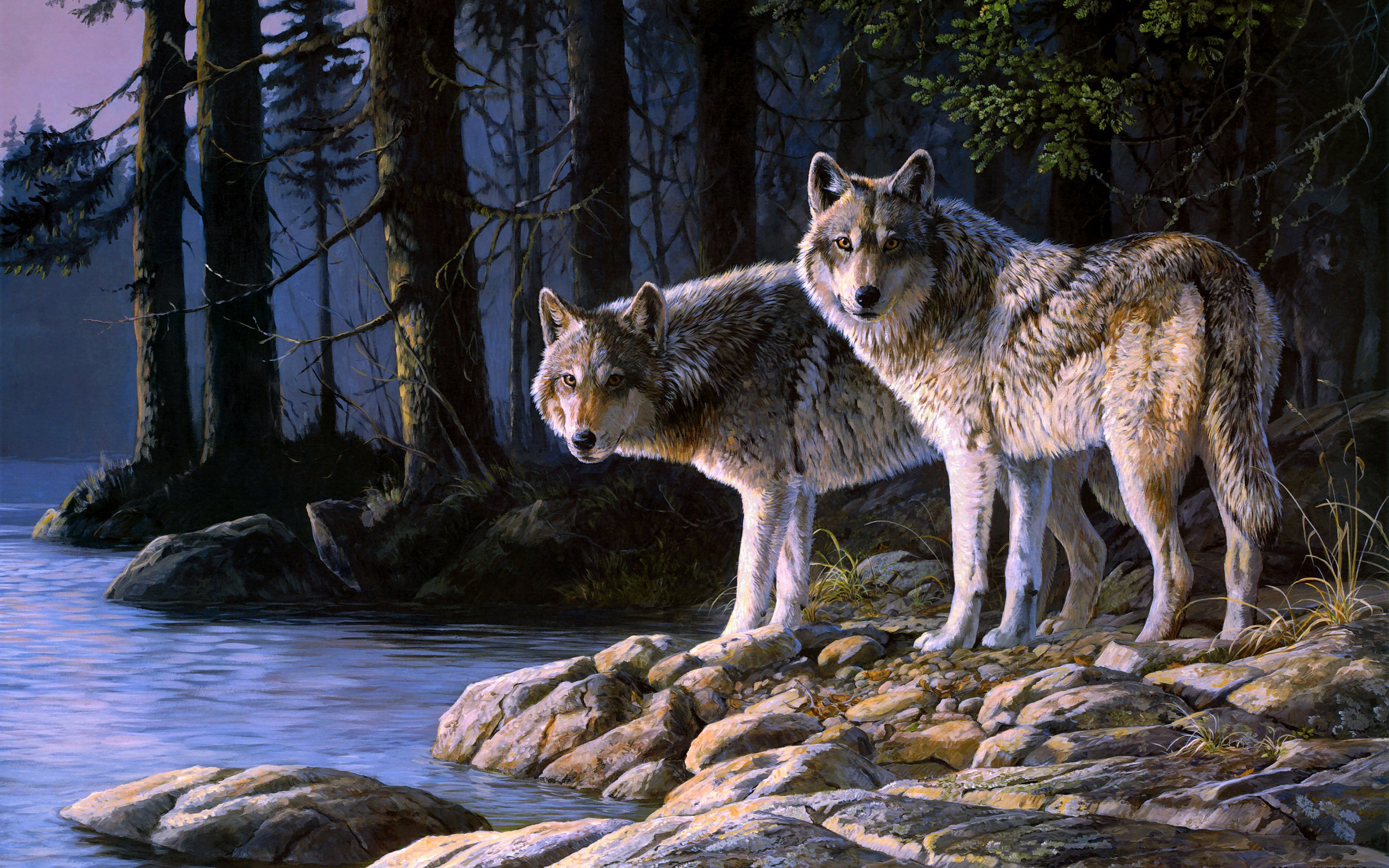 Wolf Wallpaper HD