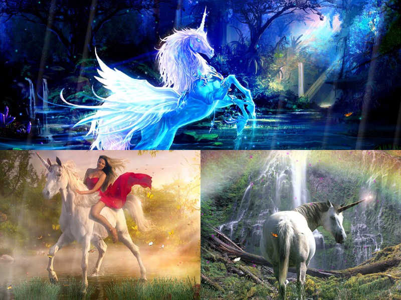 Magic Unicorns Animated Wallpaper   DesktopAnimatedcom