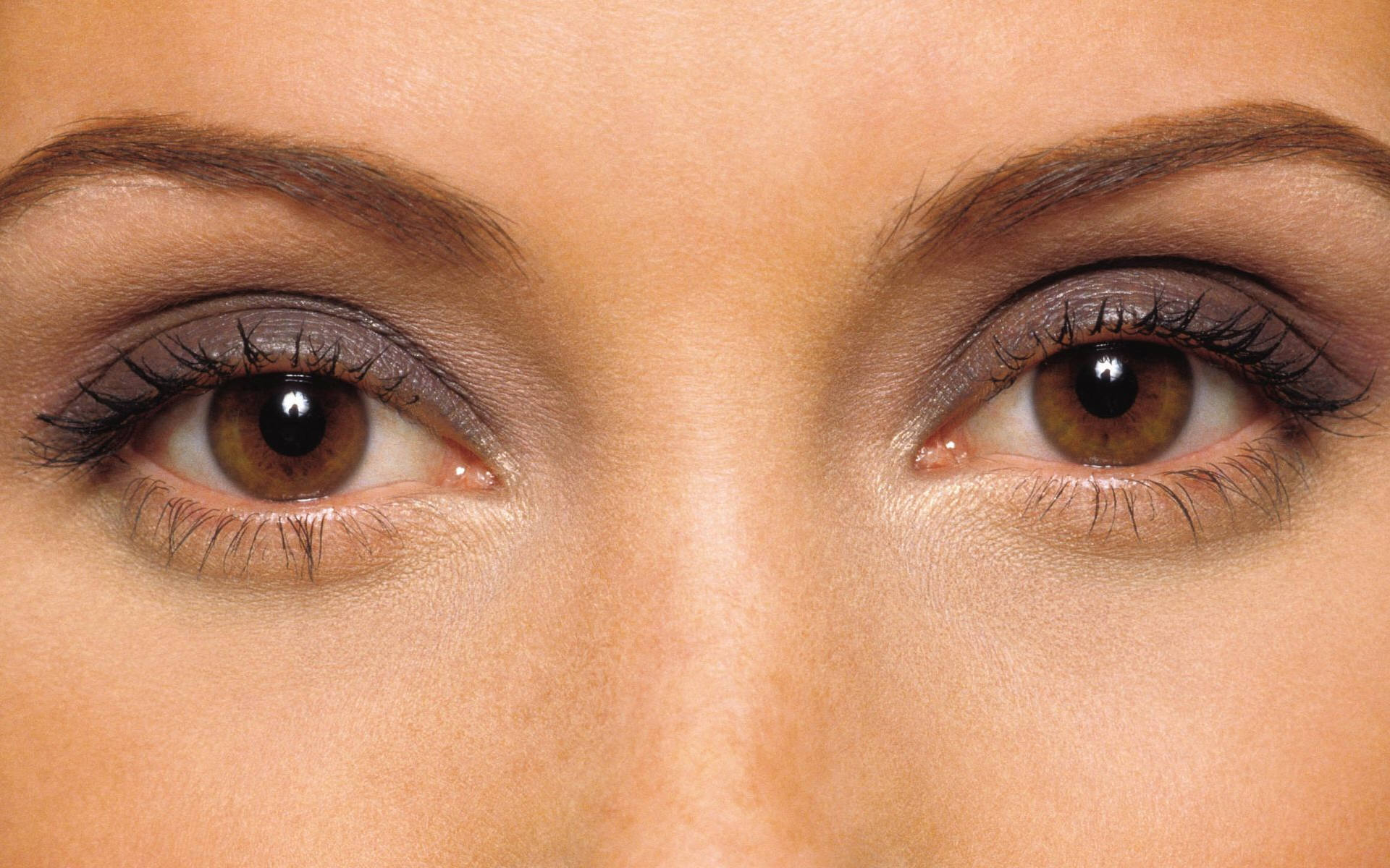 Close Up Eyes Wallpaper Closeup Brown