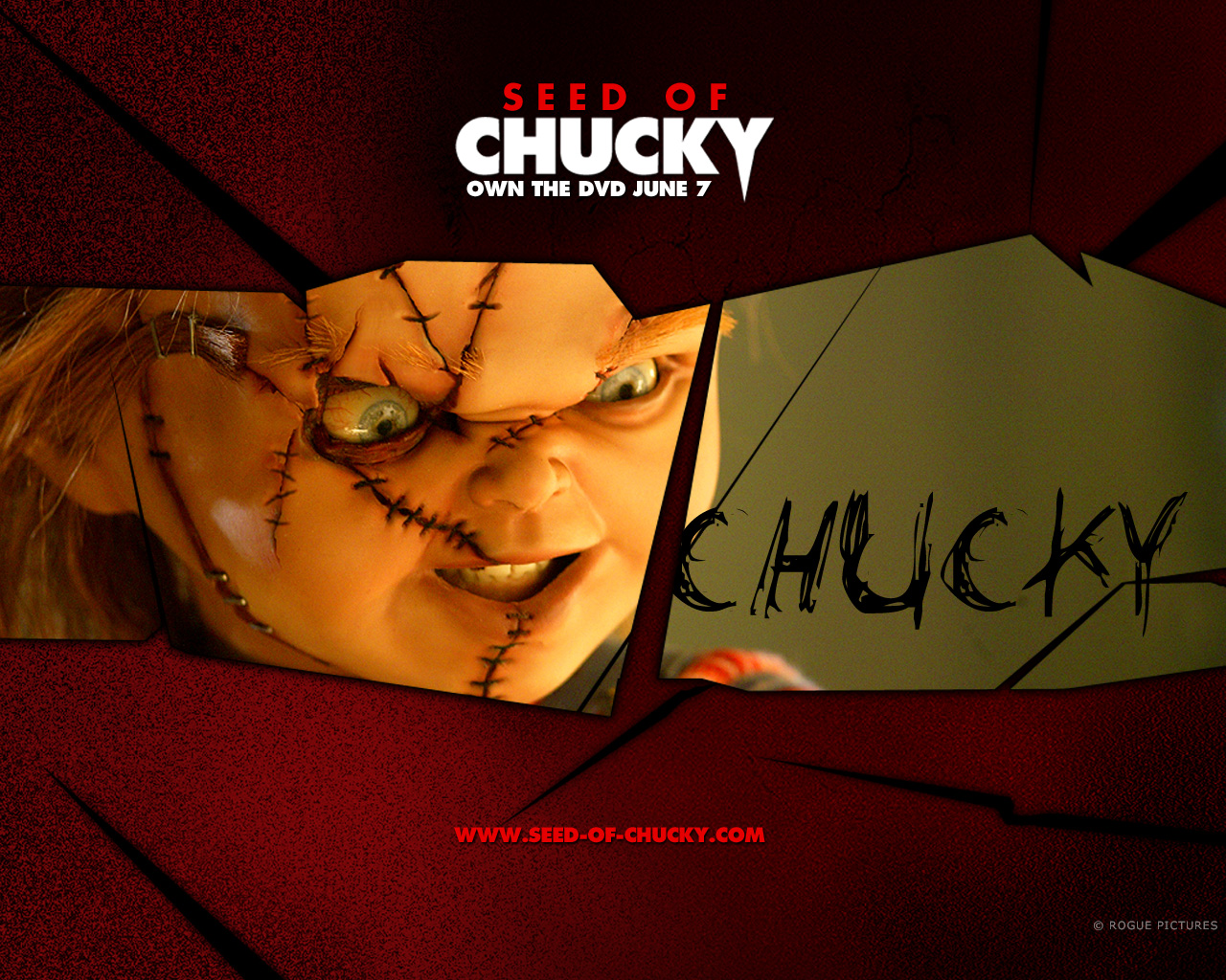 Seed Of Chucky Movies Wallpaper