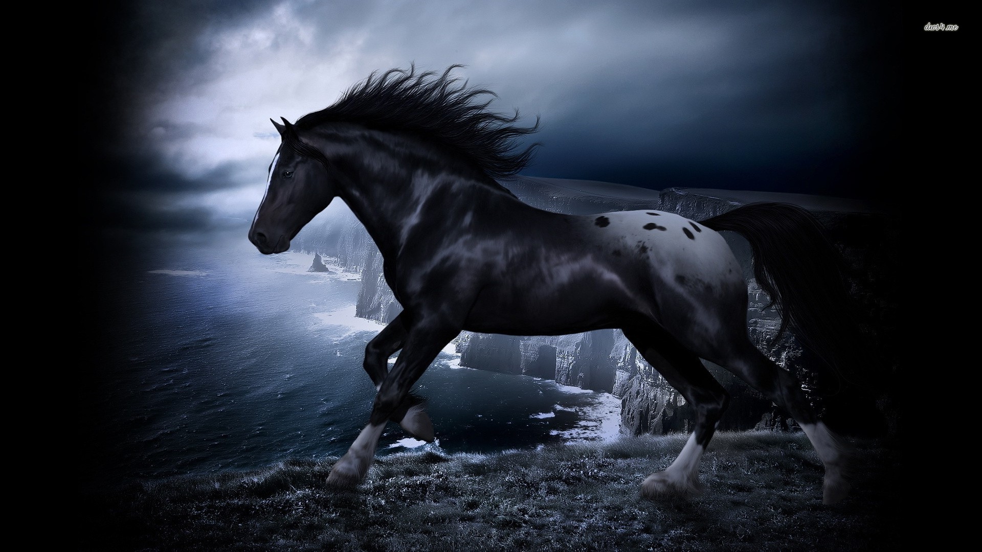 53,793 Black Horse Running Images, Stock Photos, 3D objects, & Vectors |  Shutterstock