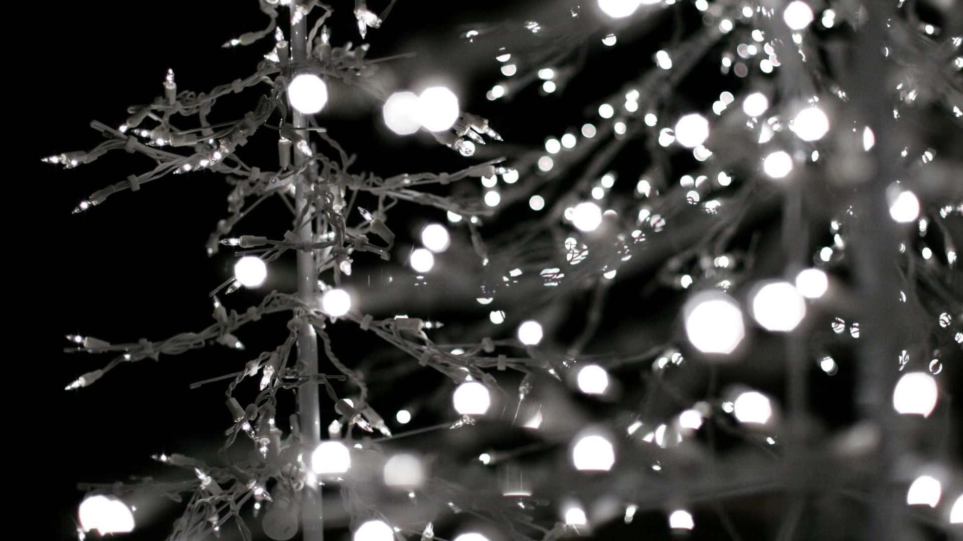 Get Into The Festive Spirit With This Cute Christmas Lights Wallpaper