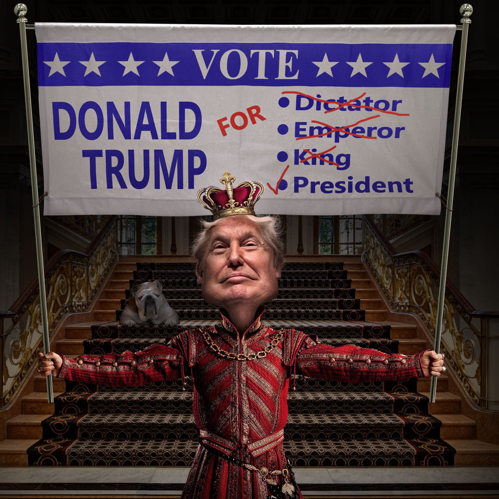 Donald Trump For President By Funkwood
