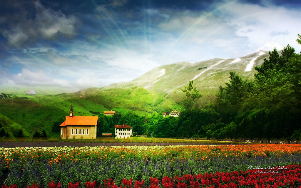LandScape Wallpaper Free Wallpapers Nature Wallpapers Flower