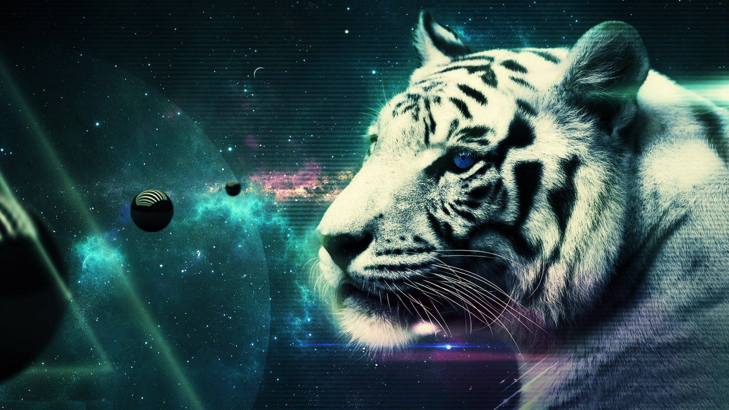 Cool Tiger Wallpaper Top Background