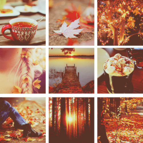 Autumn Collage