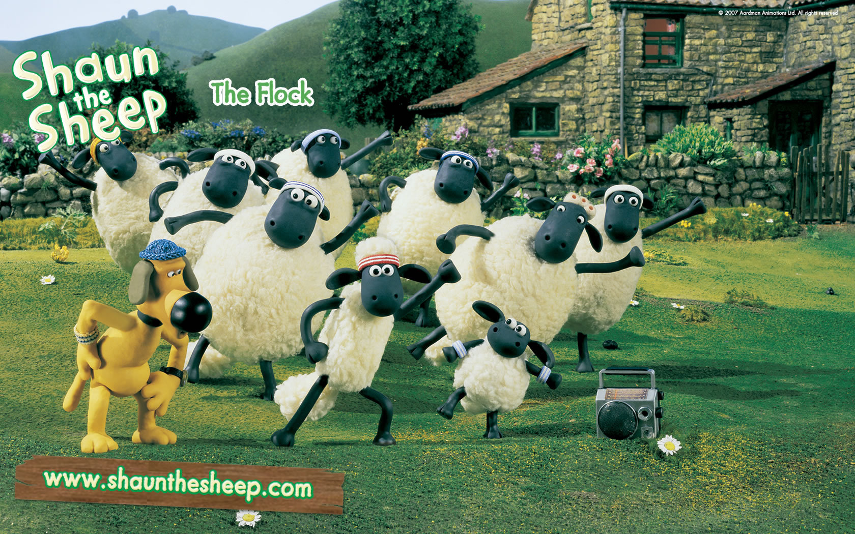 Shaun The Sheep Image HD Wallpaper And
