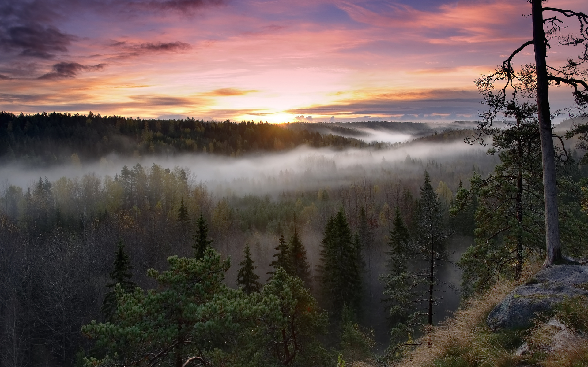 Noux National Park Finland Desktop Wallpaper