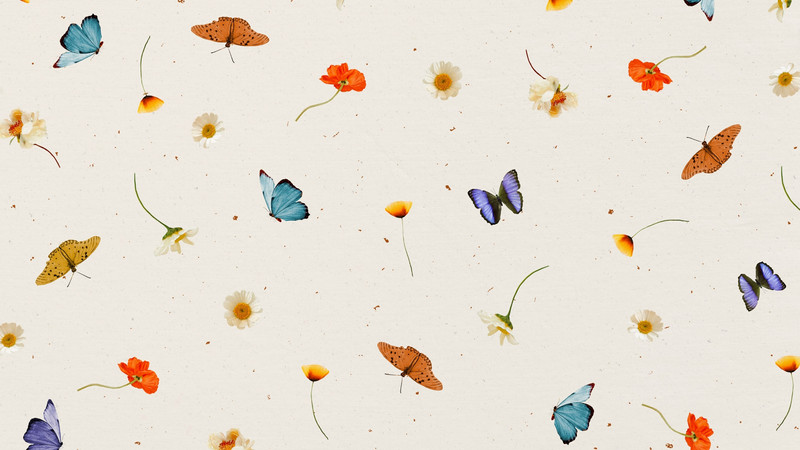 Colorful Modern Butterfly Spring Desktop Wallpaper N Flf4Ooo8