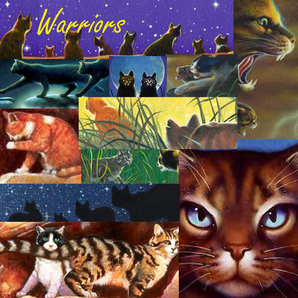 My Top Collection Warriors Cats Wallpaper