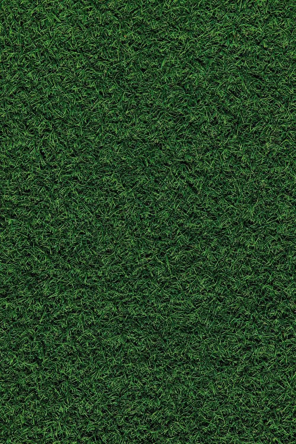 Green Texture Pictures Image