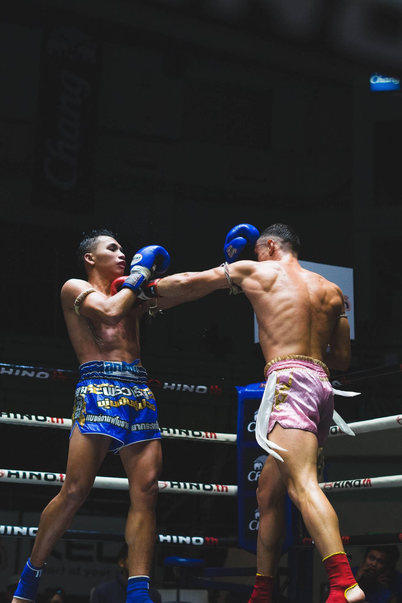 Muay Thai Wallpaper
