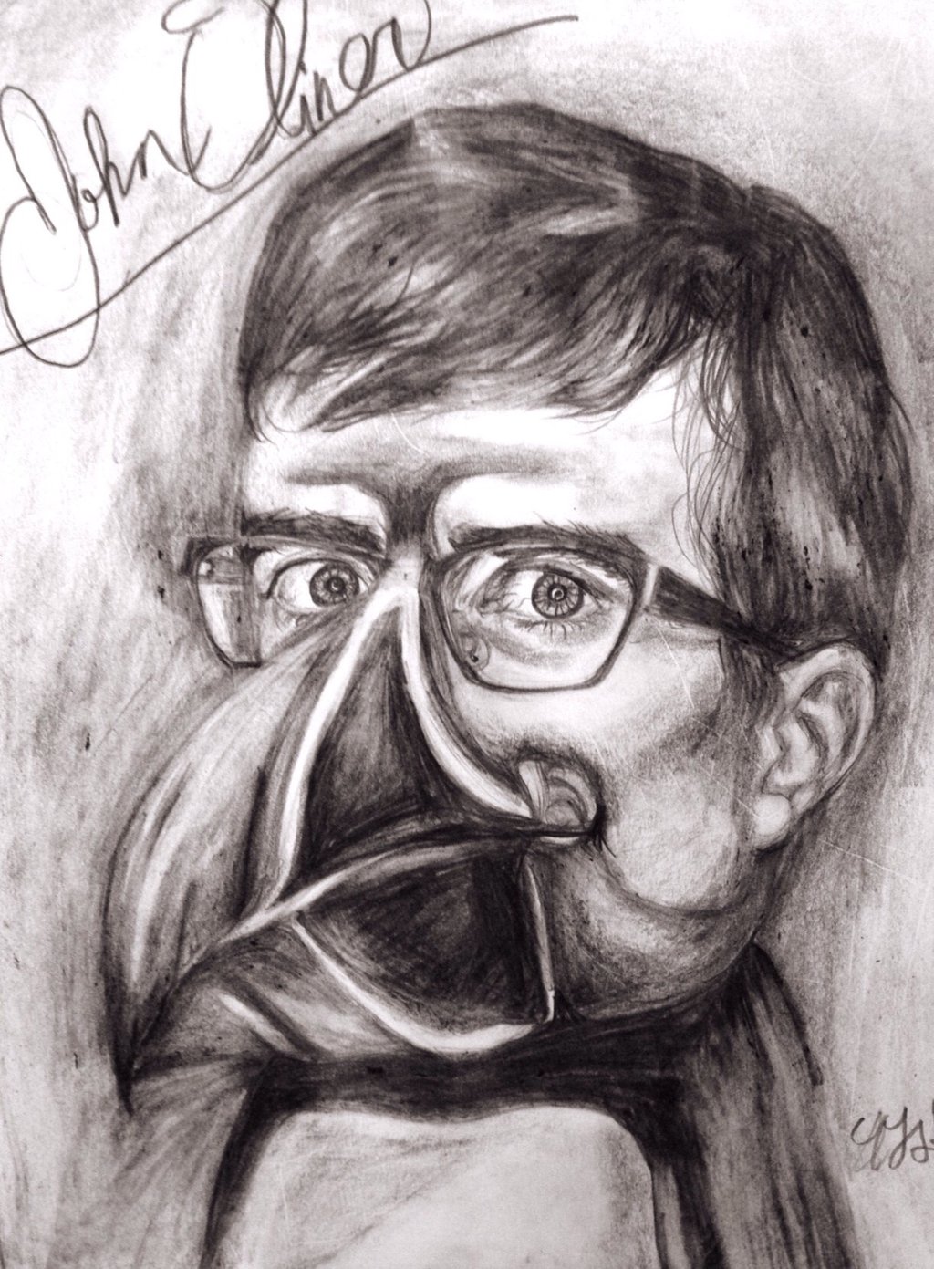John Oliver As A Puffin By Annalisashandro