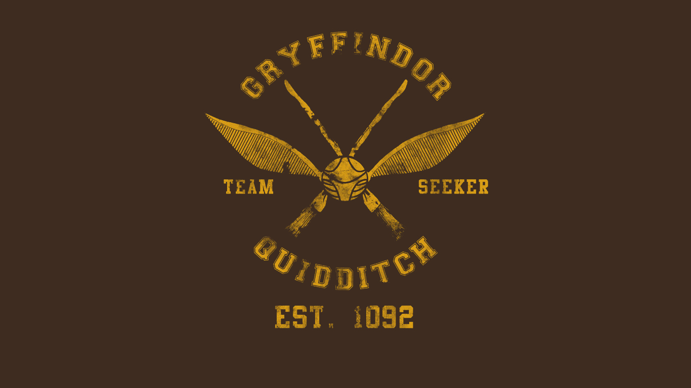Harry Potter Quidditch Gryffindor Hogwarts