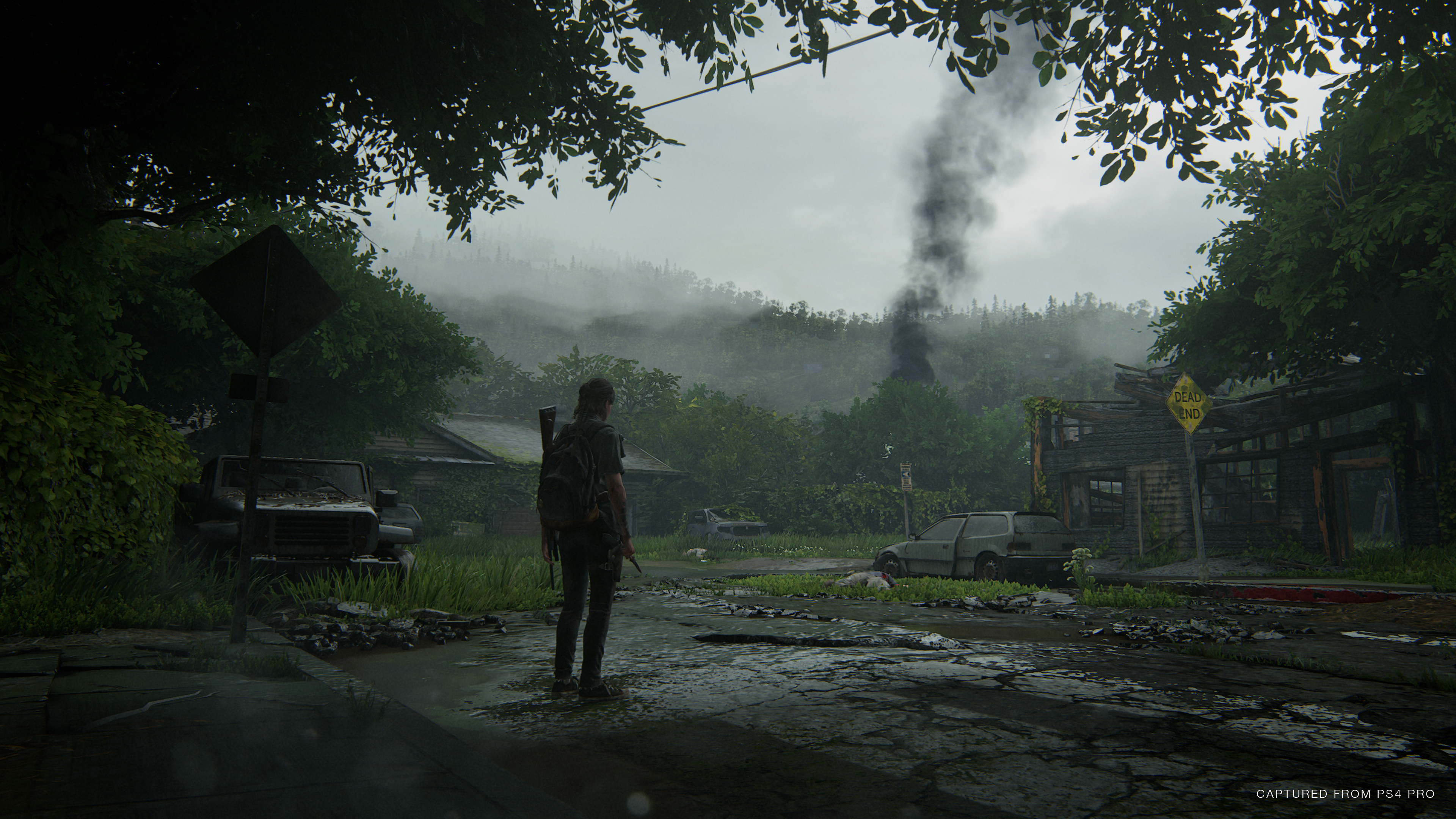 The Last Of Us Part Ii Wallpaper Hd Games 4k Image