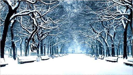 1080p Winter Background Schermata
