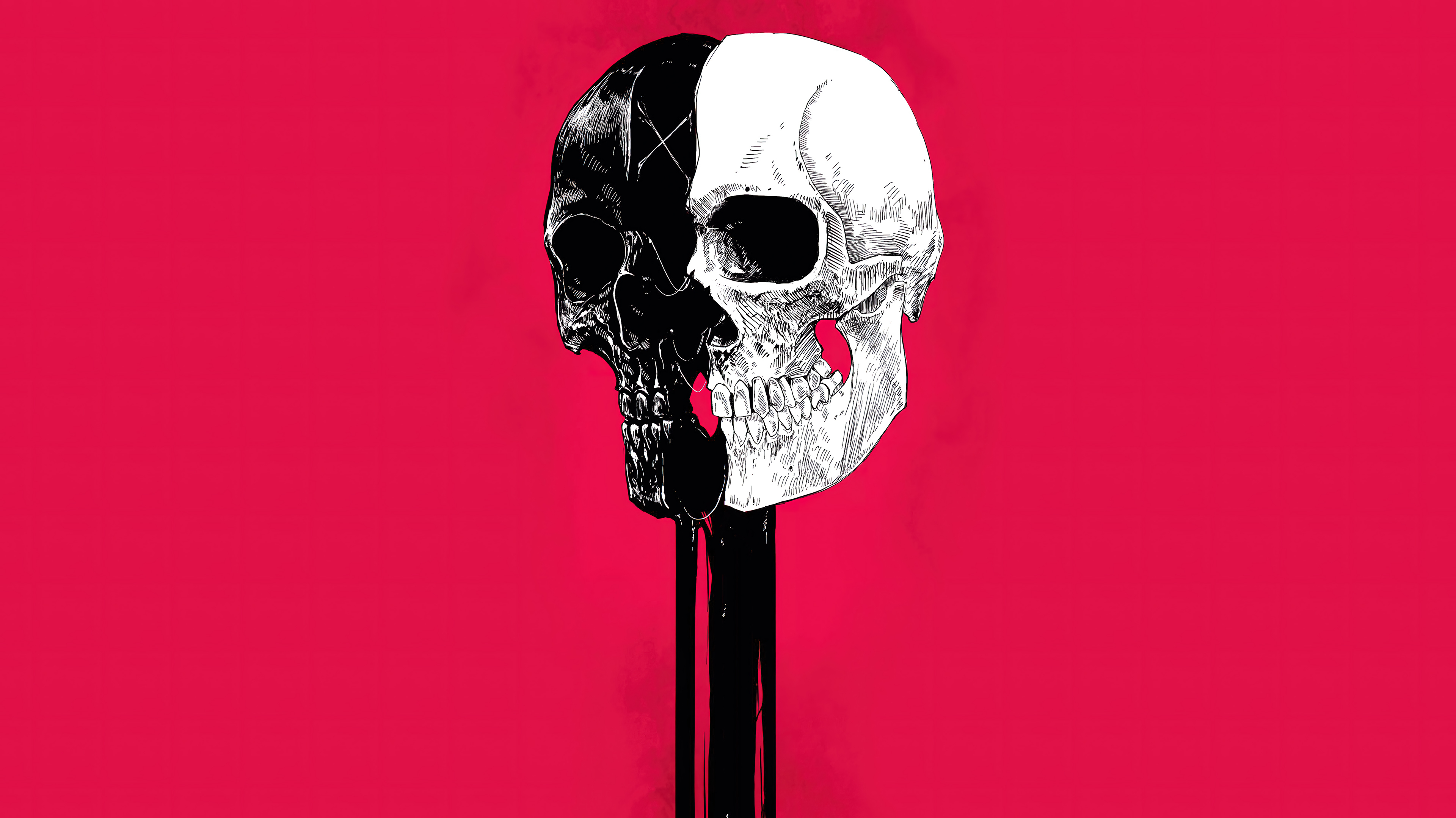 Black and White Skull Illustration on Pink Background