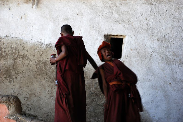 Tibetan Buddhist Wallpaper Young Monks Having