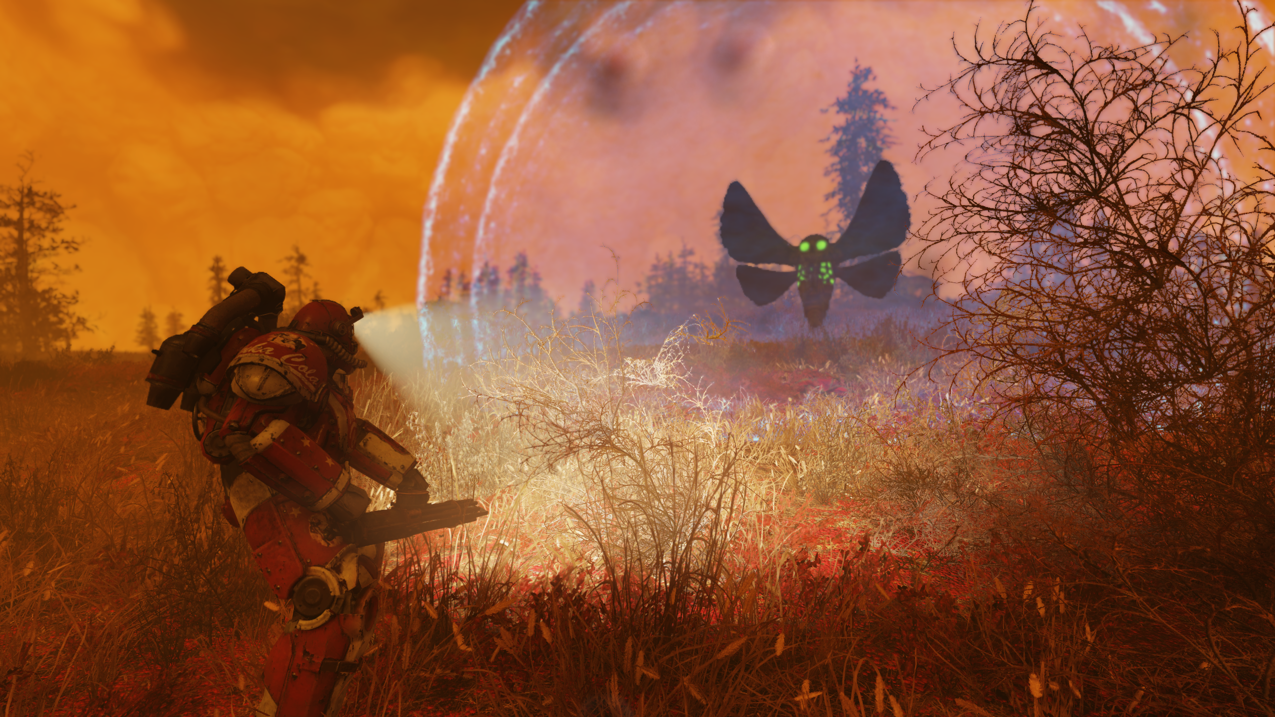 I Finally Got A Good Mothman Pic Praise Be Fo76filthycasuals
