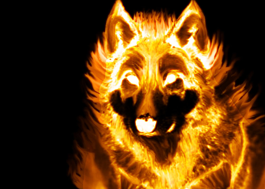 Fire Wolf By Lamar823