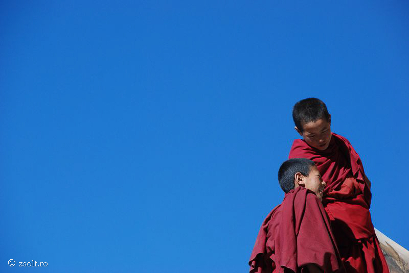 Tibetan Buddhist Wallpaper Young Monks