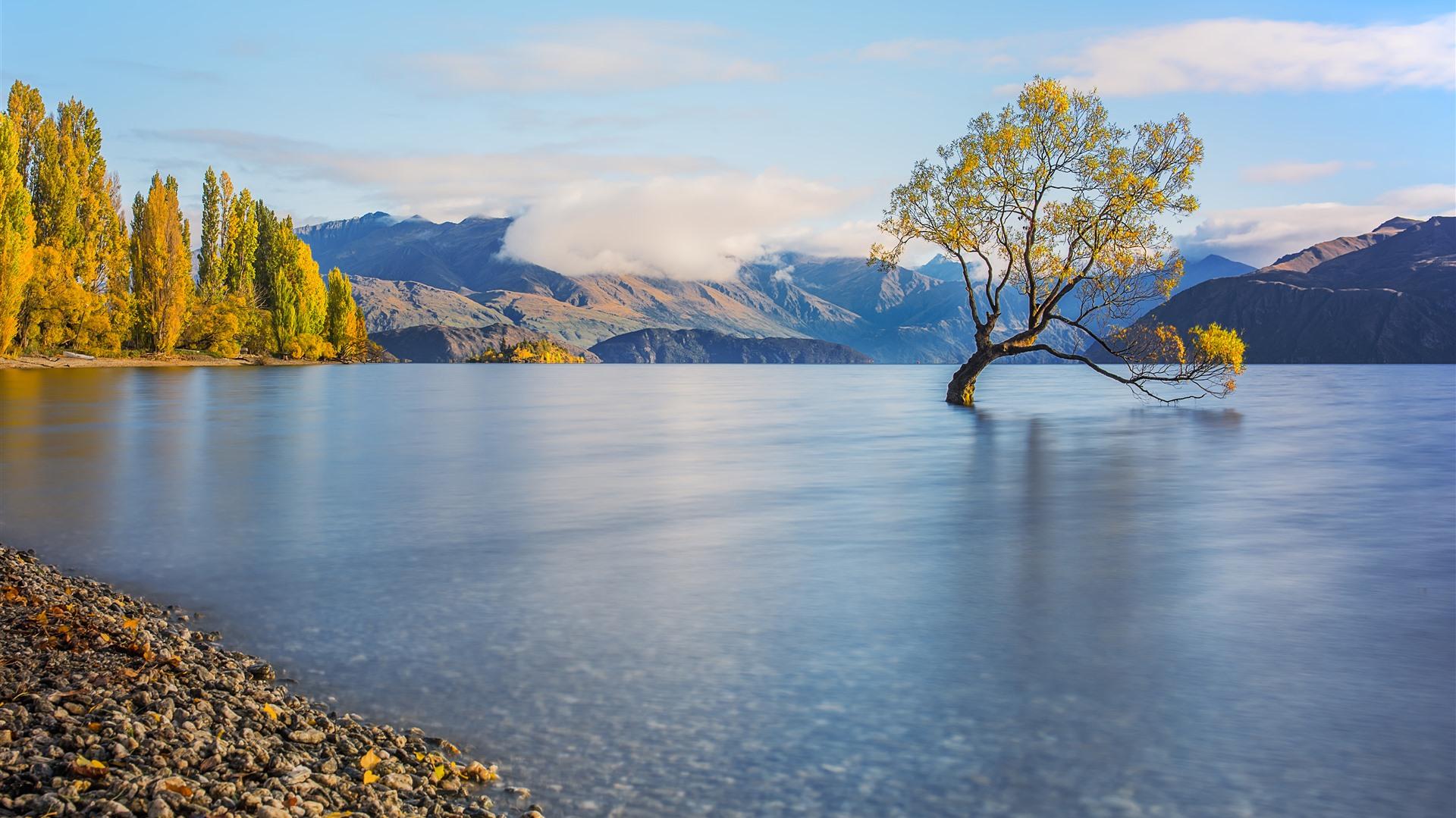 Lake Wanaka Pling