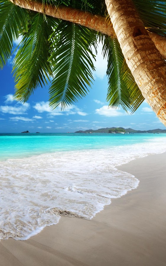Free Download Tropical Beach Live Wallpaper Android Apps On Google Play 562x900 For Your Desktop Mobile Tablet Explore 50 Free Tropical Beach Live Wallpaper Free Beach Wallpapers For Desktop