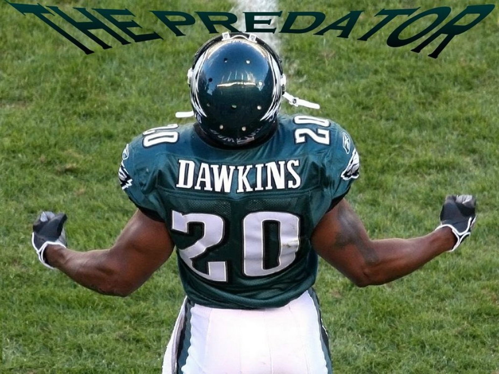 Brian Dawkins Eagles Wallpaper The Predator