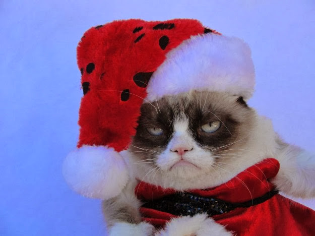 Top HD Wallpapers Grumpy cat christmas wallpapers 2013