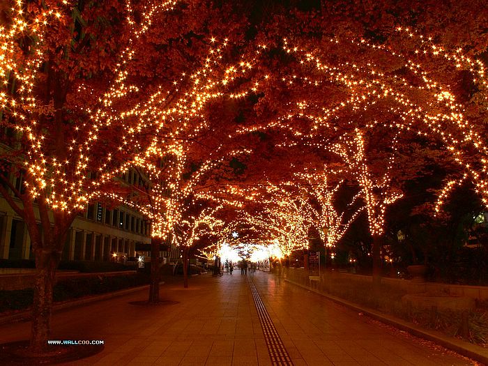 Tokyo Christmas Lights Display Shinjuku Southern Terrace Bakery