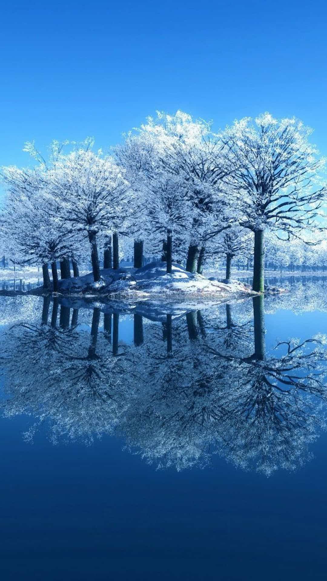 Amazing Phone Wallpaper