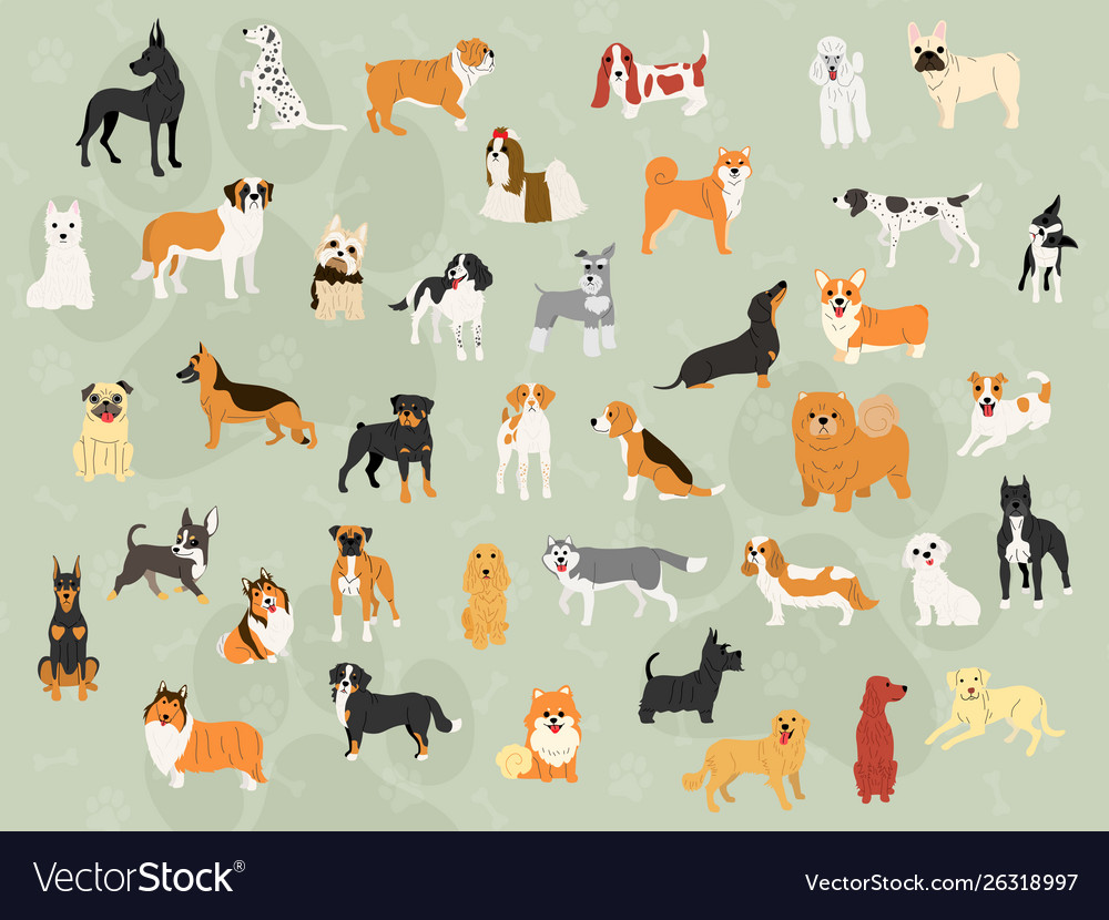 Cute Dogs In Action Wallpaper Design Royalty Vector
