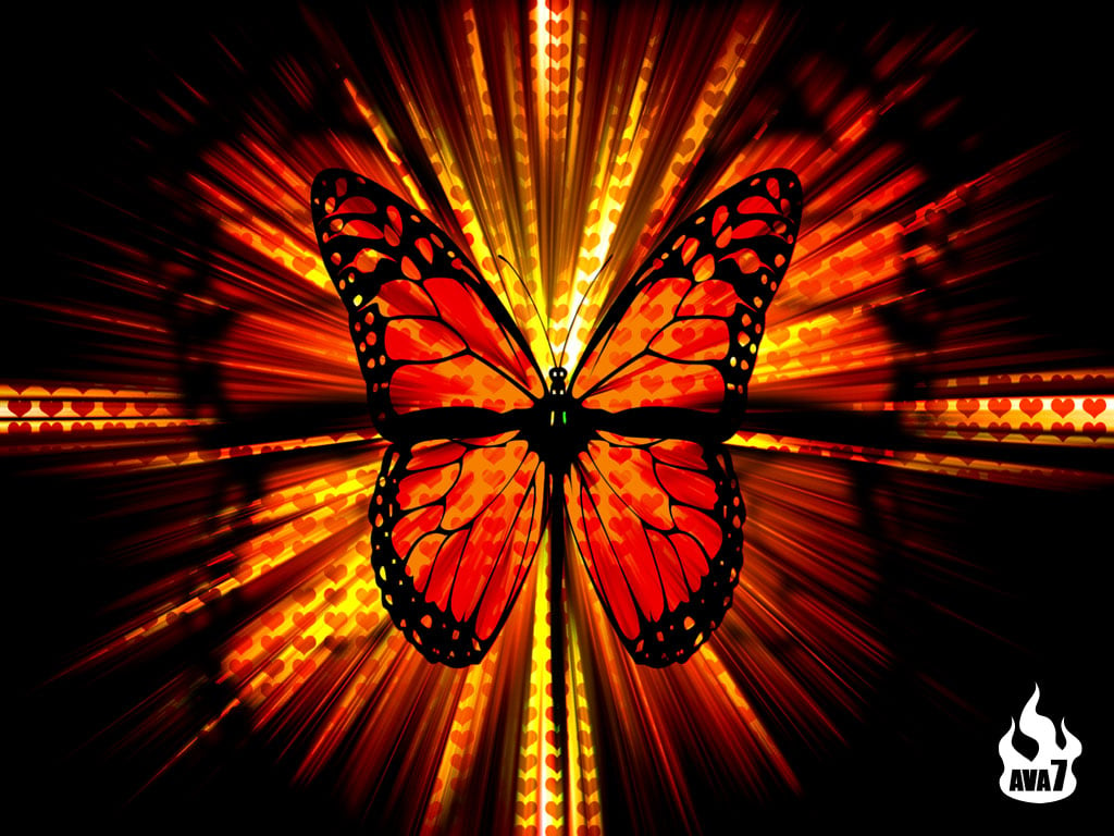 Butterfly Wallpaper 3D Wallpaper Nature Wallpaper