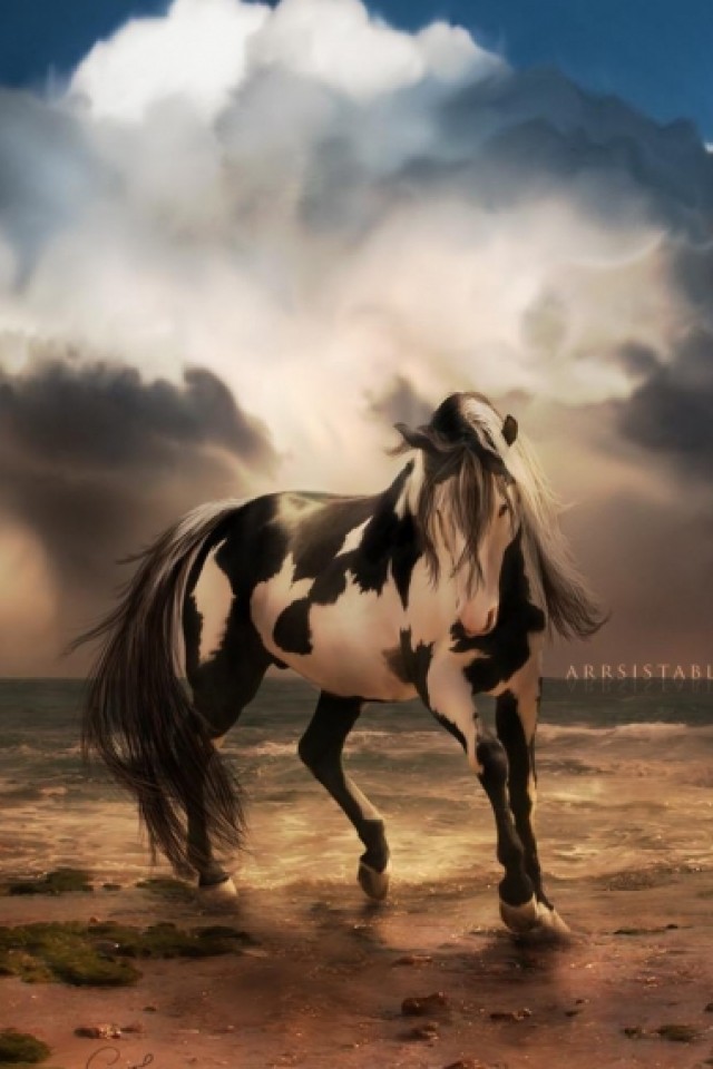 Paint Horse iPhone Wallpaper