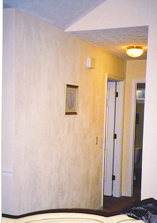 Free download Textured Paint Over Wallpaper Wallpaper Roll Texture [898x787] for your Desktop