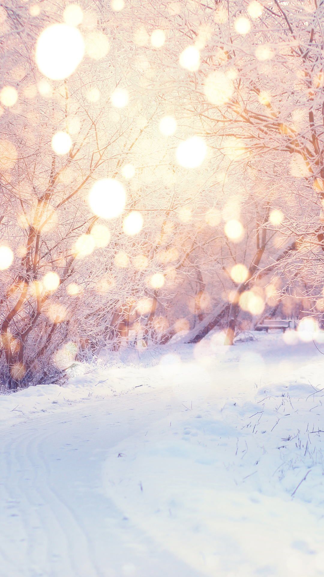 Cozy Winter Vibes Wallpaper