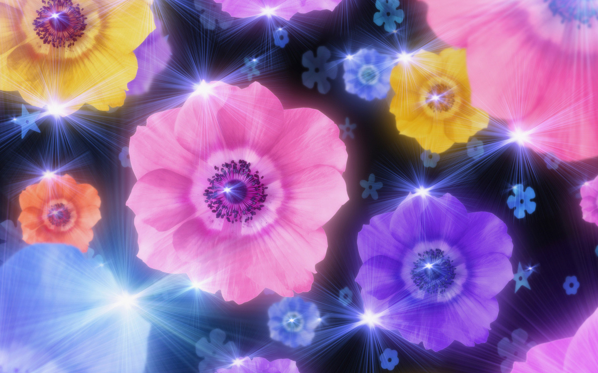 Animated Wallpaper Mobile Flower Background Image